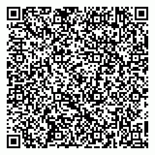 vCard 79361005313
