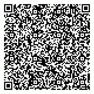 vCard 79361005381