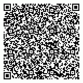 vCard 79361013029