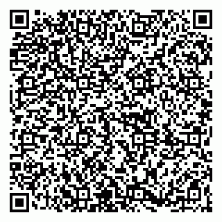 vCard 79361013313