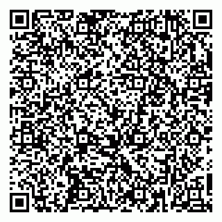 vCard 79361013331