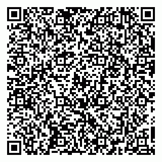 vCard 79361013381