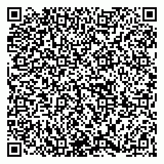 vCard 79361013382