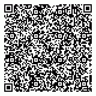 vCard 79361013383