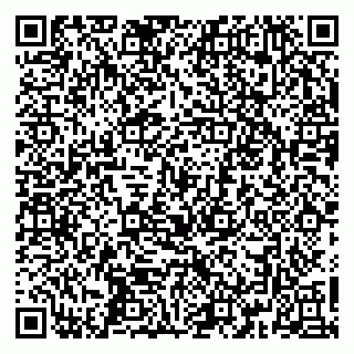 vCard 79361013385