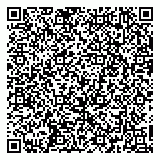 vCard 79361013387