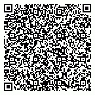 vCard 79361013390