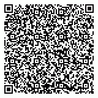vCard 79361013733