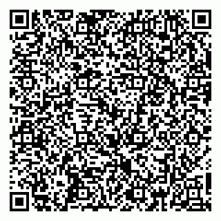 vCard 79361013965