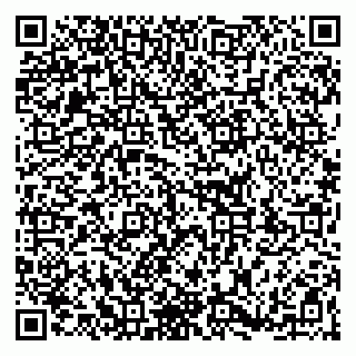 vCard 79363330001