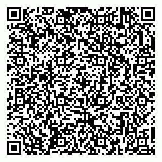 vCard 79363330013