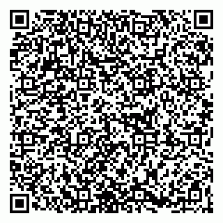 vCard 79363330029