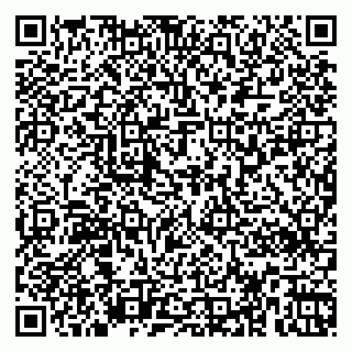 vCard 79363330033