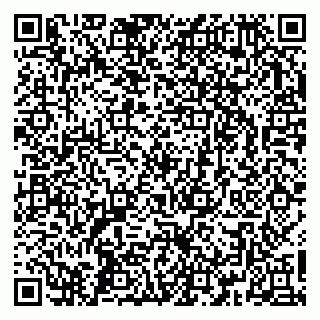 vCard 79363330080