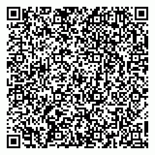 vCard 79363330100