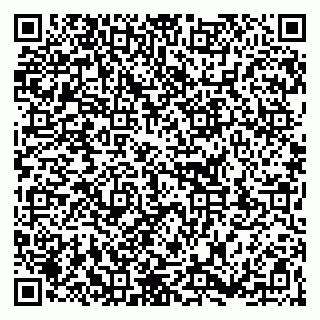 vCard 79363330131