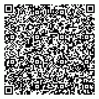 vCard 79363330133