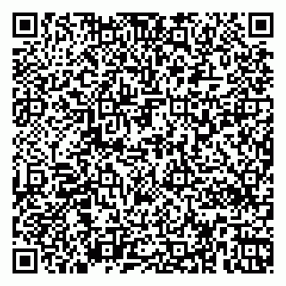 vCard 79363330333