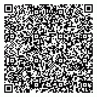 vCard 79363330334