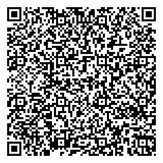 vCard 79363330370