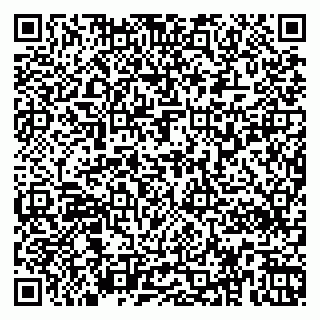 vCard 79363330387