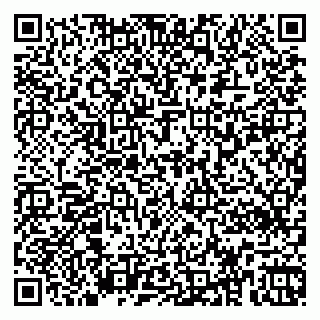 vCard 79363330389