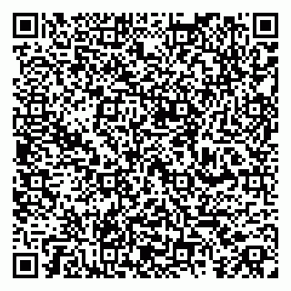 vCard 79363330399