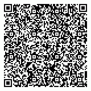 vCard 79366001413