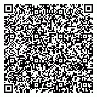 vCard 79366002933