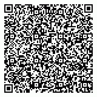 vCard 79366003933