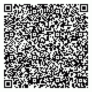 vCard 79366005333