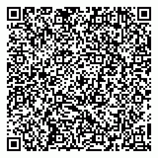 vCard 79366005381