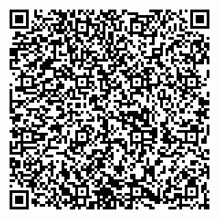 vCard 79368880297