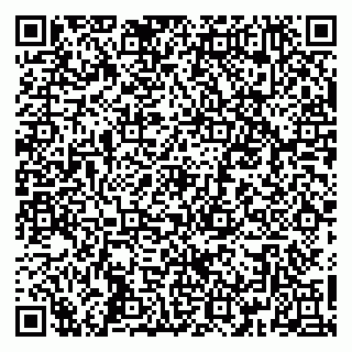 vCard 79368880384