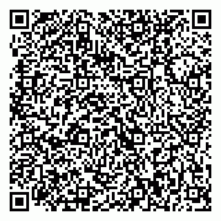 vCard 79370000003