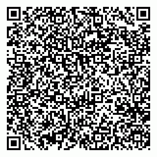 vCard 79370000085