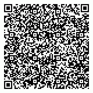 vCard 79370000131