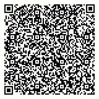vCard 79370000132