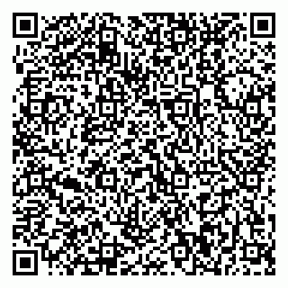 vCard 79370000203