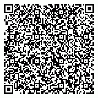 vCard 79370000208