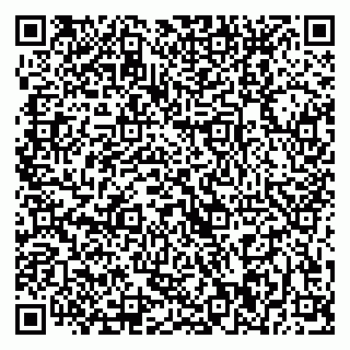 vCard 79370000211