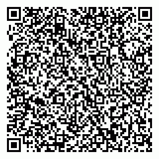 vCard 79370000217