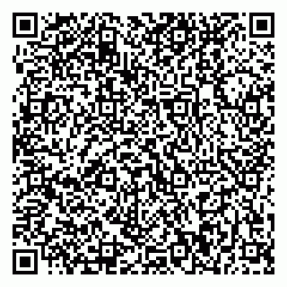 vCard 79370000233
