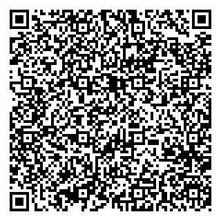 vCard 79370000273