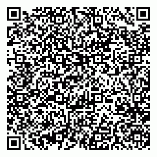 vCard 79370000294