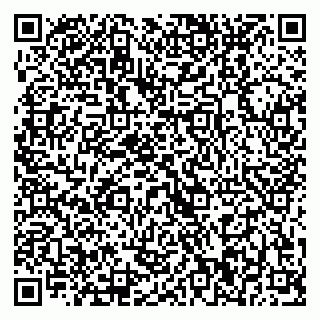 vCard 79370000301