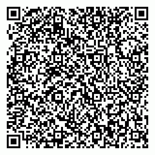 vCard 79370000331