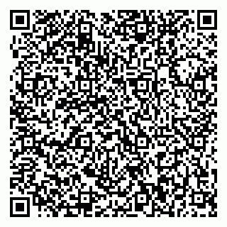 vCard 79370000333