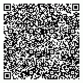 vCard 79370000381