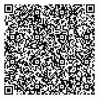 vCard 79370000393